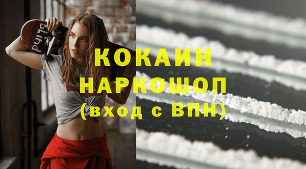 молекула духа Арсеньев