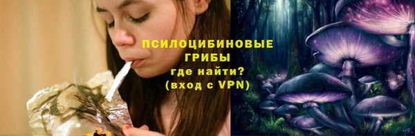 молекула духа Арсеньев