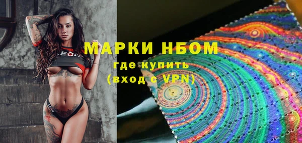 молекула духа Арсеньев