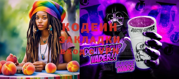 молекула духа Арсеньев